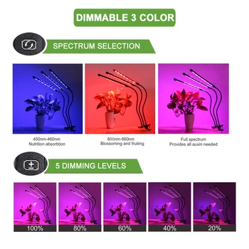 Fitolamp LED Grow Light 9/18/27W Full Spectrum Lamp For Plants Desk Grow Lamp With Controller Indoor Growing Lamp Plant Lights